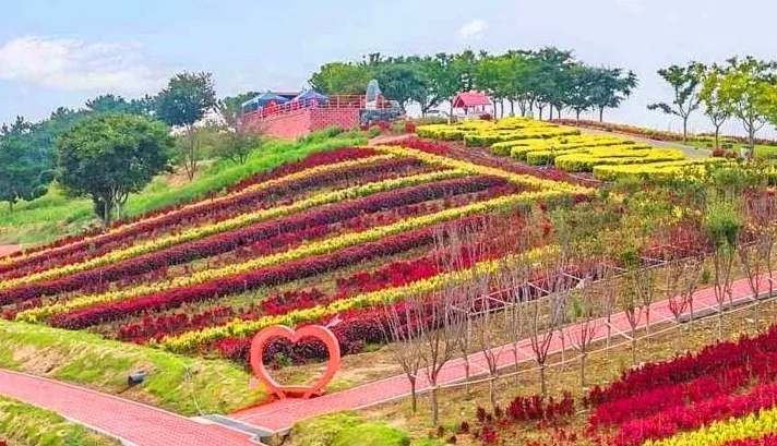 병풍도 맨드라미 축제 / 사진=한국관광콘텐츠랩