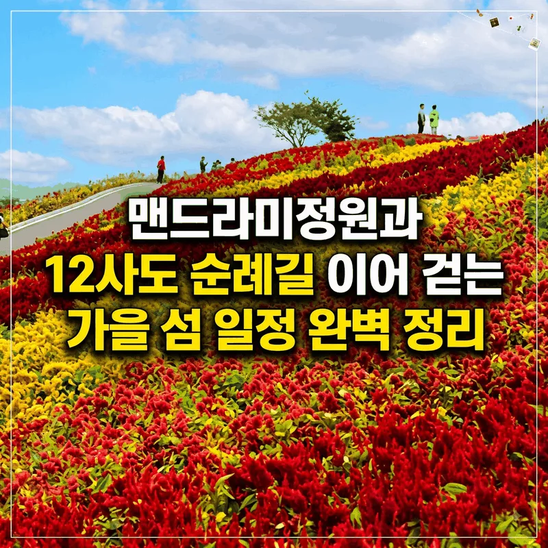 맨드라미정원과 12사도 순례길 이어 걷는 가을 섬 일정 완벽 정리