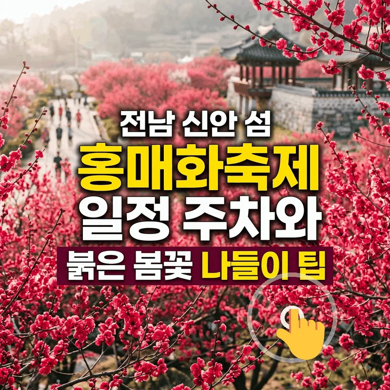 전남 신안 섬 홍매화축제 일정 주차와 붉은 봄꽃 나들이 팁