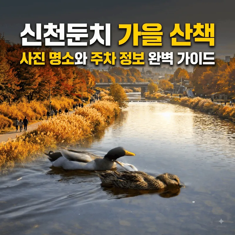 신천둔치 가을 산책 사진 명소와 주차 정보 완벽 가이드