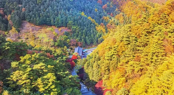 소백산 단풍 / 사진=게티이미지뱅크