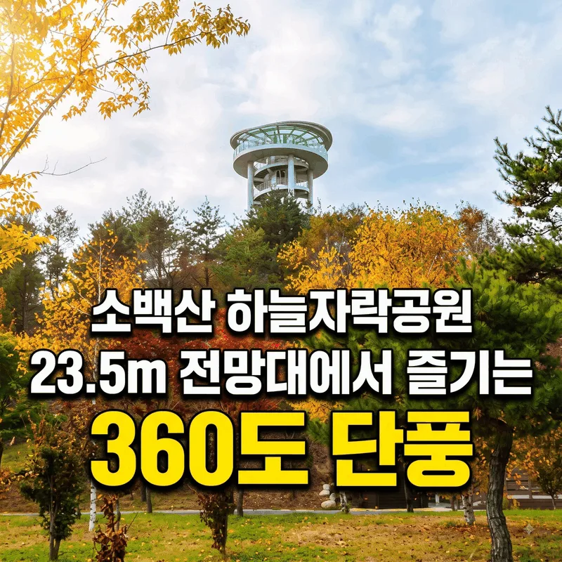 소백산하늘자락공원 23.5m 전망대에서 즐기는 360도 단풍