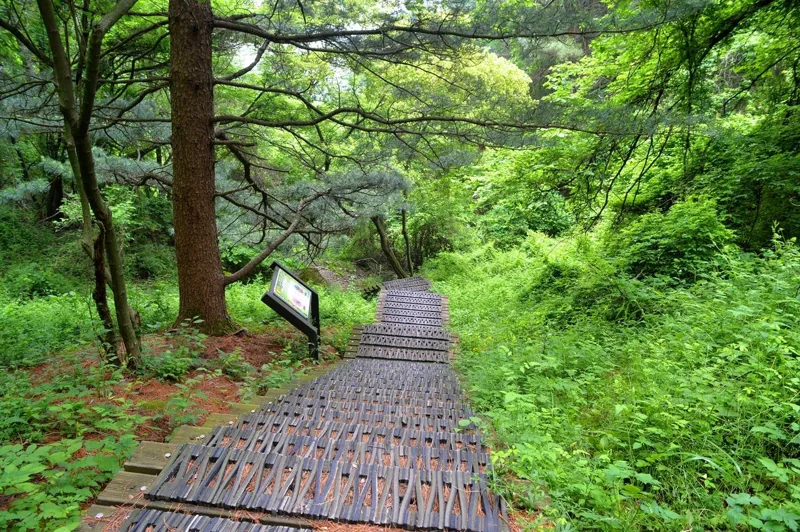 죽령 옛길