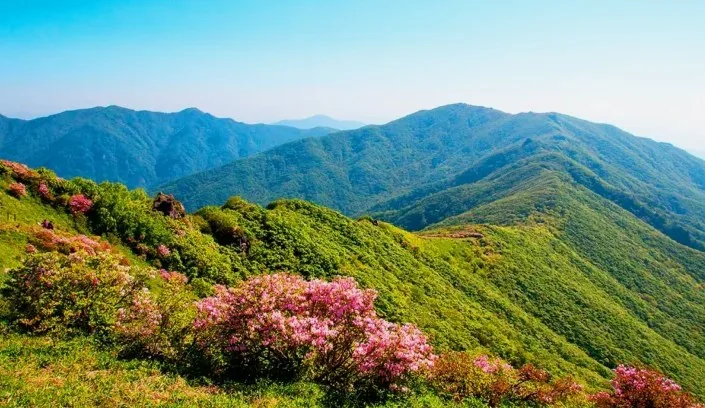 소백산 봄 풍경 / 사진=게티이미지뱅크