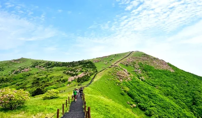 소백산 등산로 / 사진=게티이미지뱅크