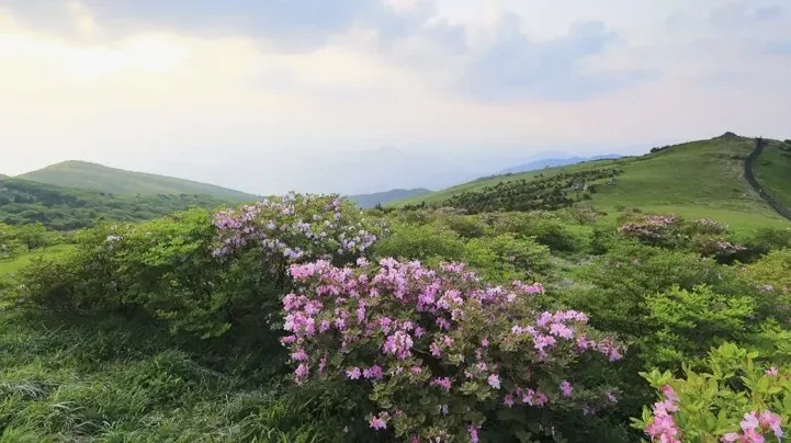 소백산 / 사진=게티이미지뱅크