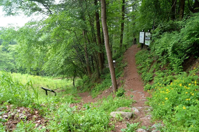 죽령 옛길