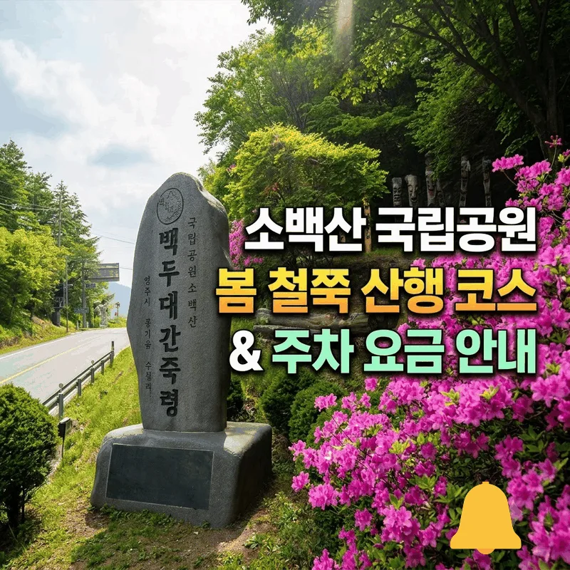 소백산 국립공원 봄 철쭉 산행 코스와 주차 요금 안내