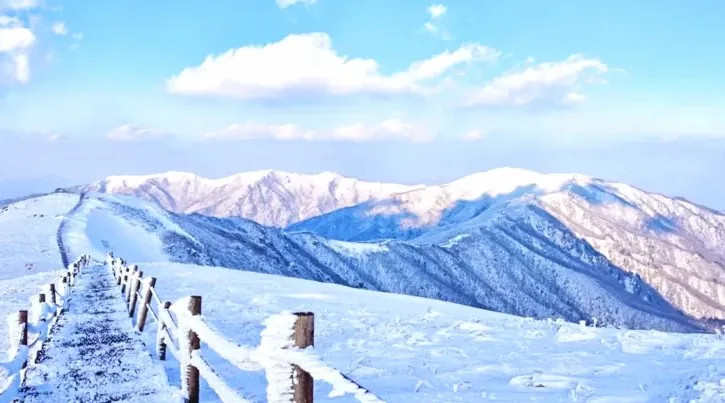 소백산 설경 / 사진=단양군