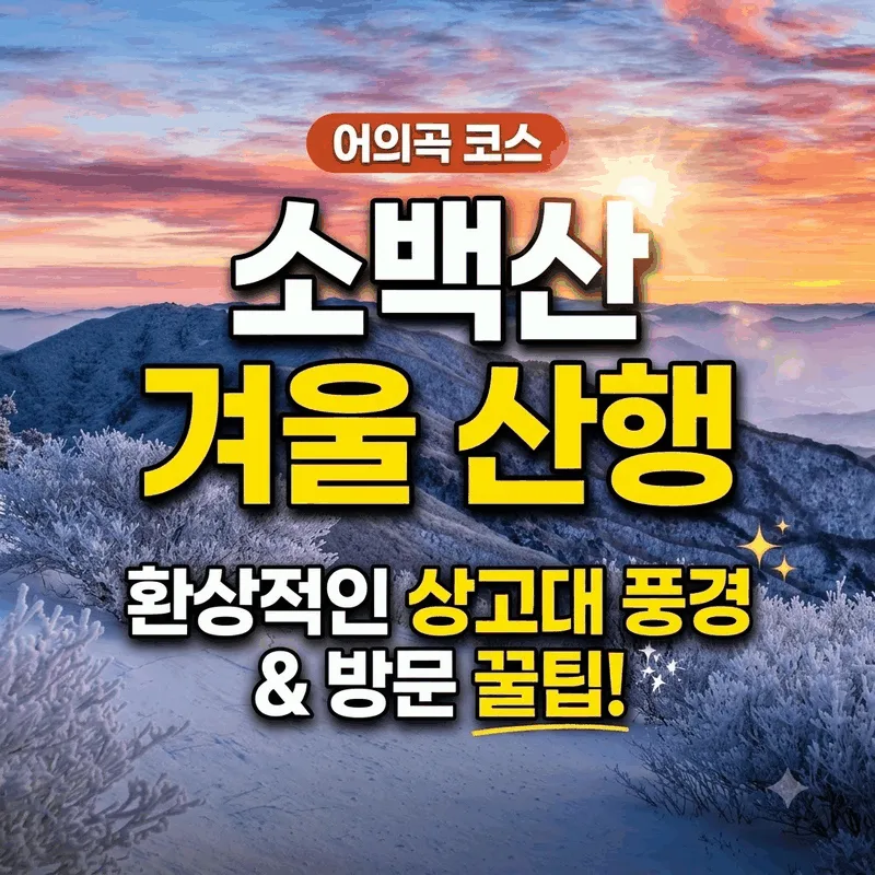 소백산 겨울 산행 어의곡 코스 상고대 비경과 가기 좋은 시간 팁