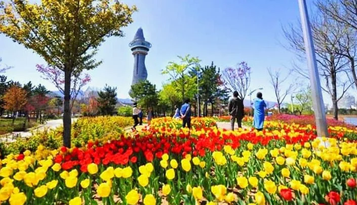 속초 청초호 호수공원 / 사진=속초시
