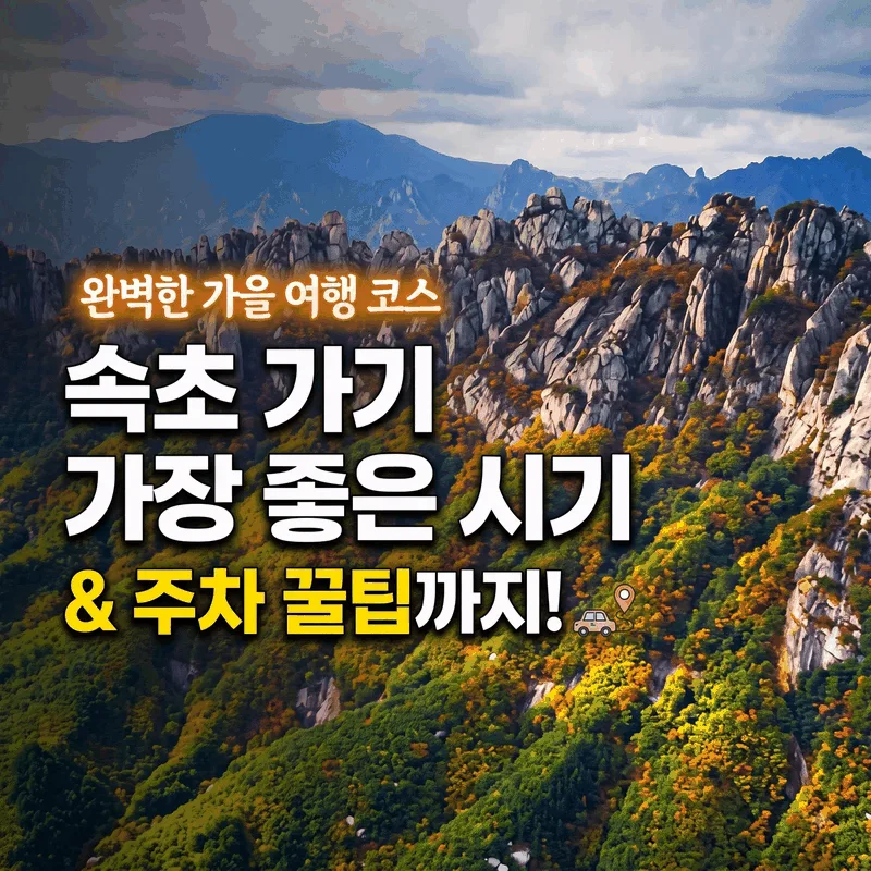속초 가기 좋은 시간과 주차 팁까지 알려 주는 완벽한 가을 여행 코스