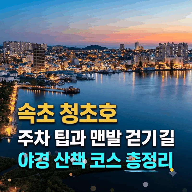 속초 청초호 주차 팁과 맨발 걷기 길 야경 산책 코스 총정리