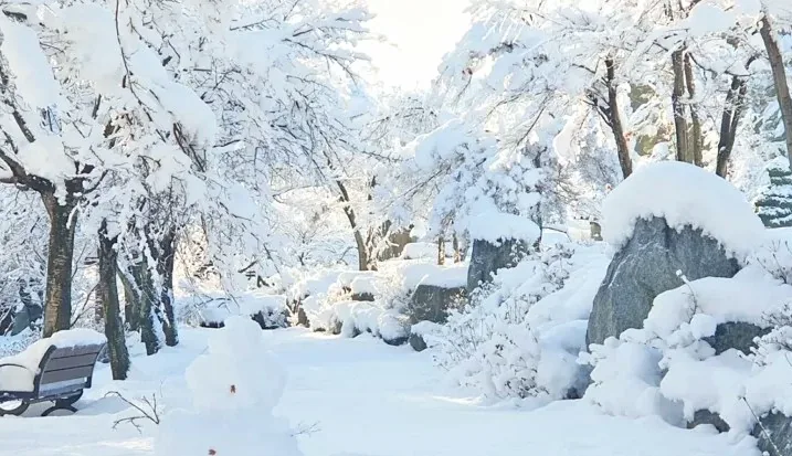 척산온천휴양촌 설경 / 사진=척산온천휴양촌