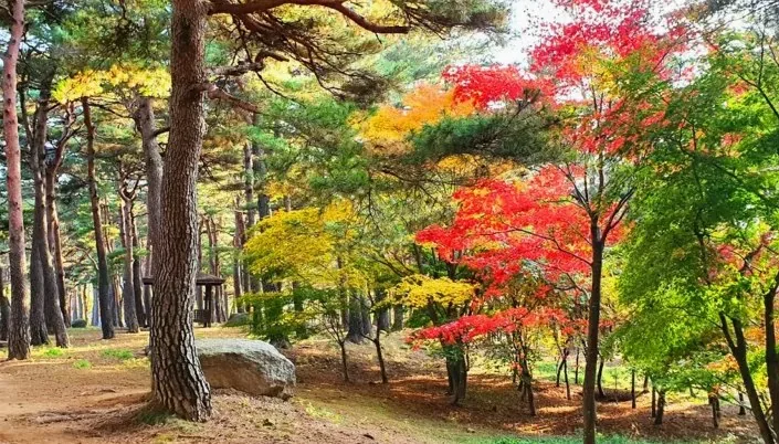 척산온천휴양촌 산책길 / 사진=척산온천휴양촌