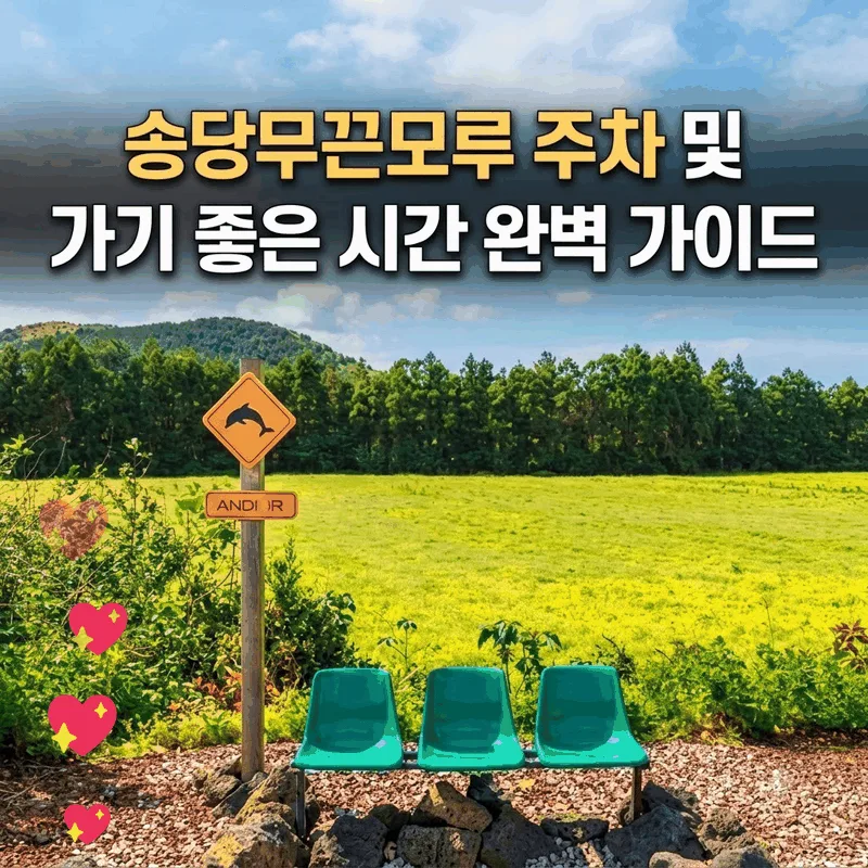 송당무끈모루 주차 및 가기 좋은 시간 완벽 가이드
