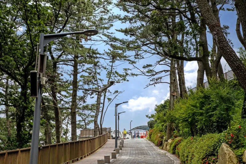 송도용궁구름다리