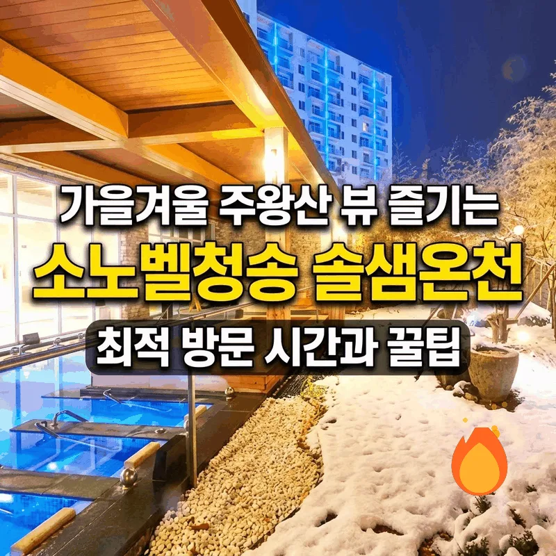 가을겨울 주왕산 뷰 즐기는 소노벨청송 솔샘온천 최적 방문 시간과 꿀팁