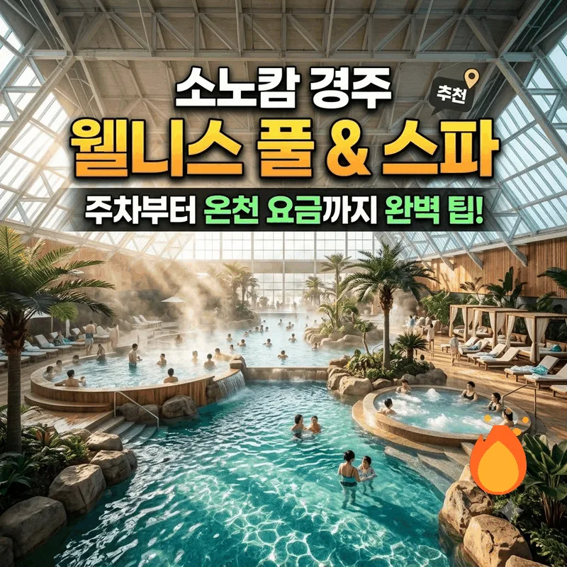 소노캄 경주 웰니스 풀앤스파 주차부터 온천 요금까지 완벽한 팁