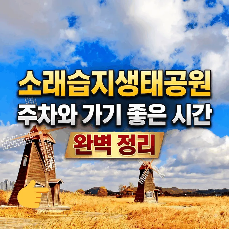 소래습지생태공원 주차와 가기 좋은 시간 완벽 정리