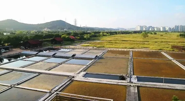 소래습지생태공원 염전 / 사진=한국관광공사 최민희