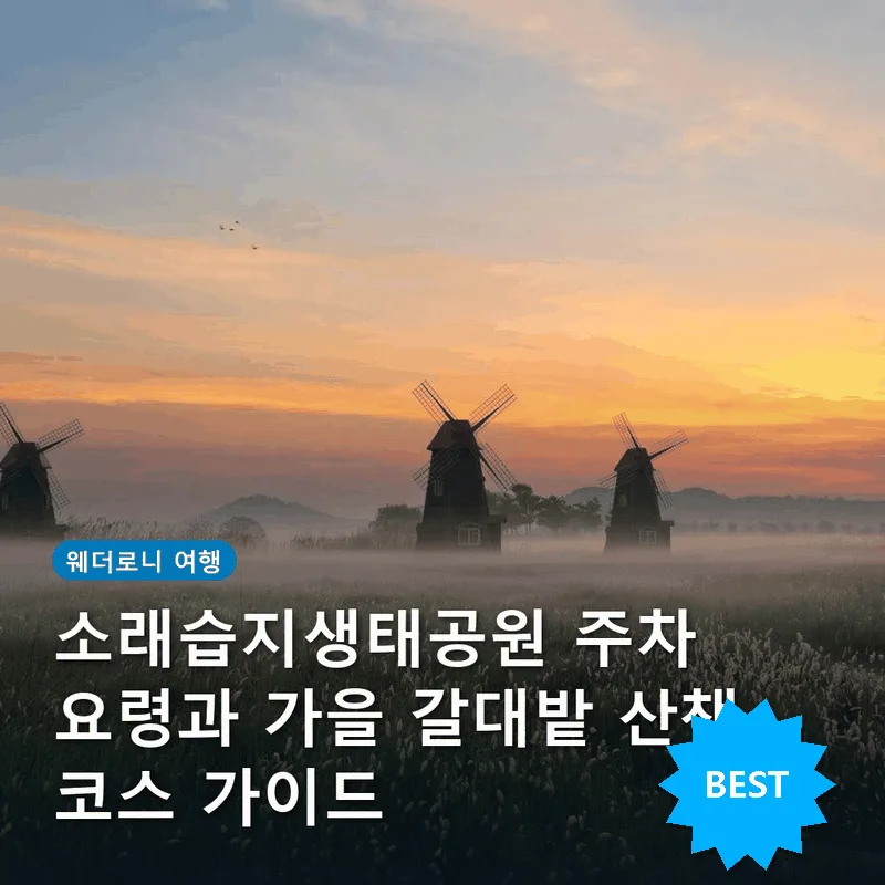 소래습지생태공원 주차 요령과 가을 갈대밭 산책 코스 가이드