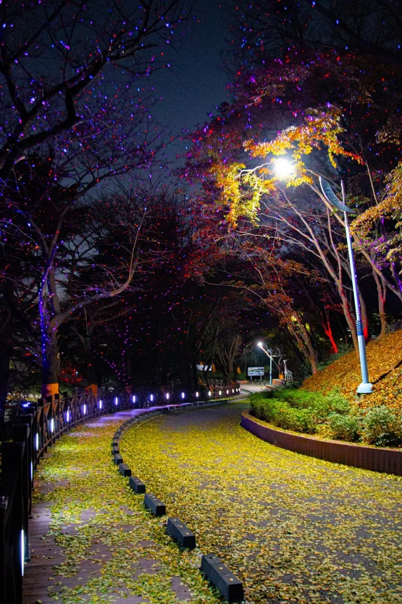 수봉공원