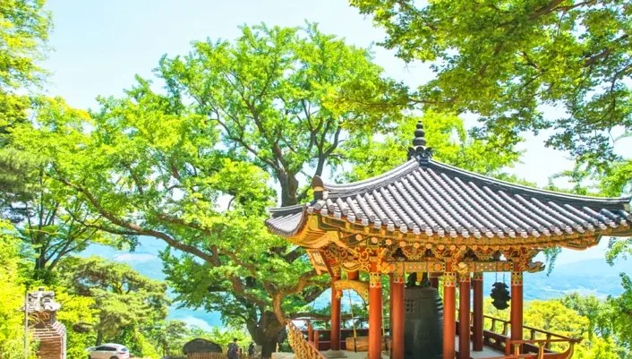 남양주 수종사 은행나무 / 사진=경기관광플랫폼