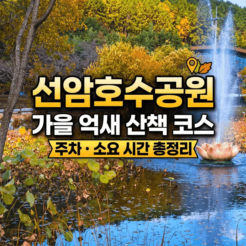 선암호수공원 가을 억새 산책 코스 주차 소요 시간 총정리