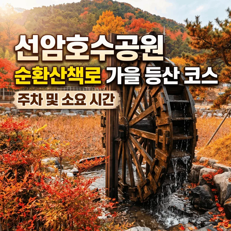 선암호수공원 순환 산책로 가을 등산 코스 주차 및 소요 시간 총정리