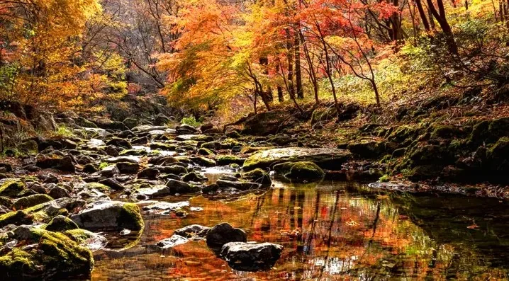 강천산군립공원 계곡 / 사진=게티이미지뱅크