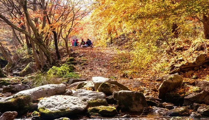 강천산군립공원 단풍 모습 / 사진=게티이미지뱅크