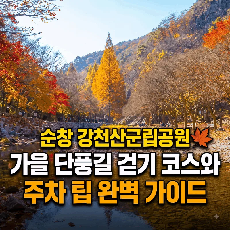 순창 강천산군립공원 가을 단풍길 걷기 코스와 주차 팁 완벽 가이드