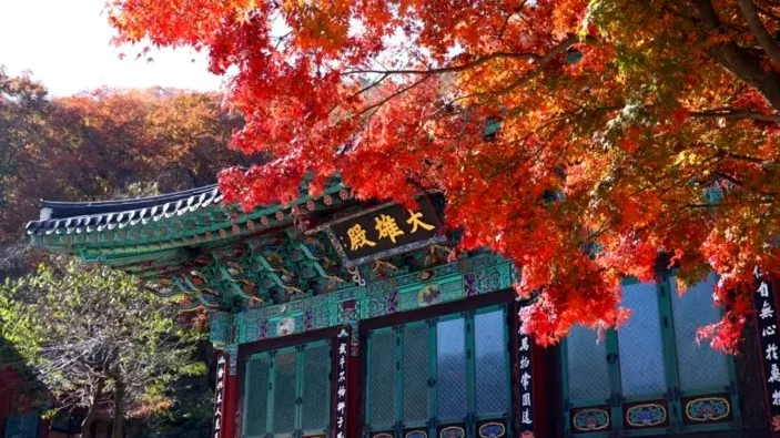 순창 구암사 가을 / 사진=순창군공식블로그