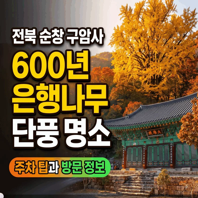 전북 순창 구암사 600년 은행나무 단풍 명소 주차 팁과 방문 정보