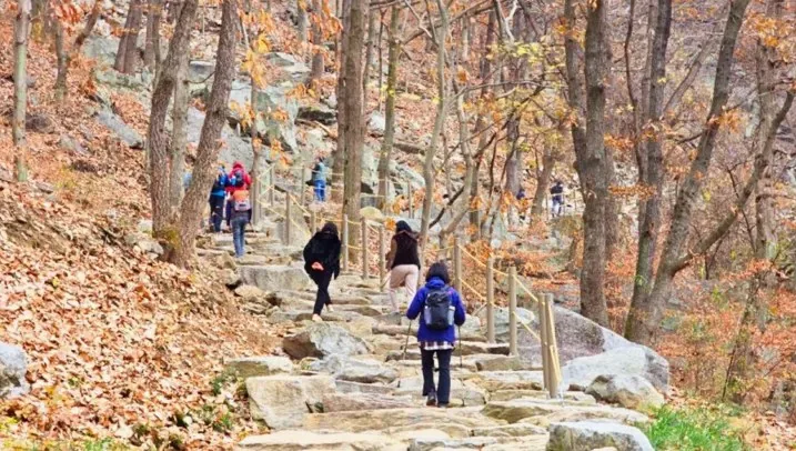 용궐산 돌계단 / 사진=순창군 공식 블로그 심인섭