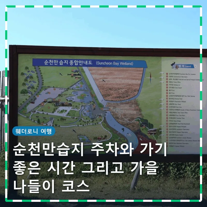 순천만습지 주차와 가기 좋은 시간 그리고 가을 나들이 코스