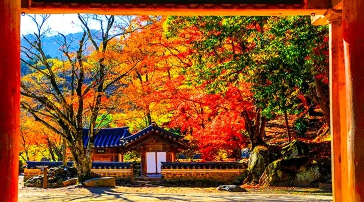 조계산 가을 전경 / 사진=순천 공식블로그