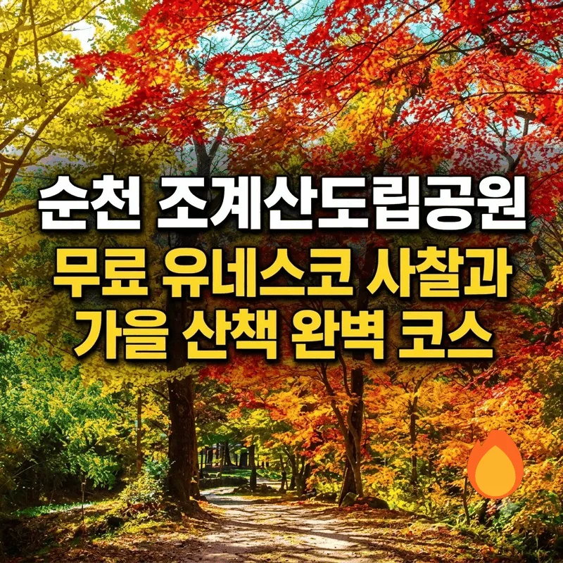 순천 조계산도립공원, 무료 유네스코 사찰과 가을 산책 완벽 코스