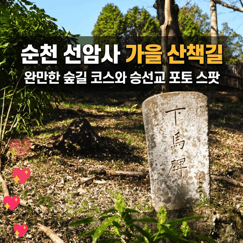 순천 선암사 가을 산책길 완만한 숲길 코스와 승선교 포토 스팟