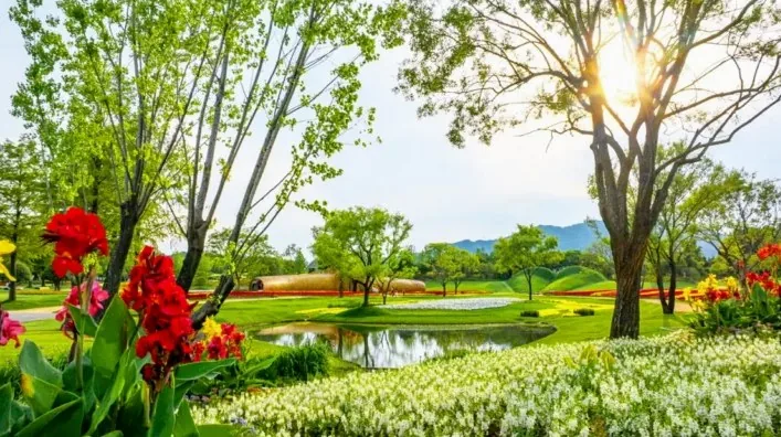 순천만국가정원 여름꽃 / 사진=순천만국가정원