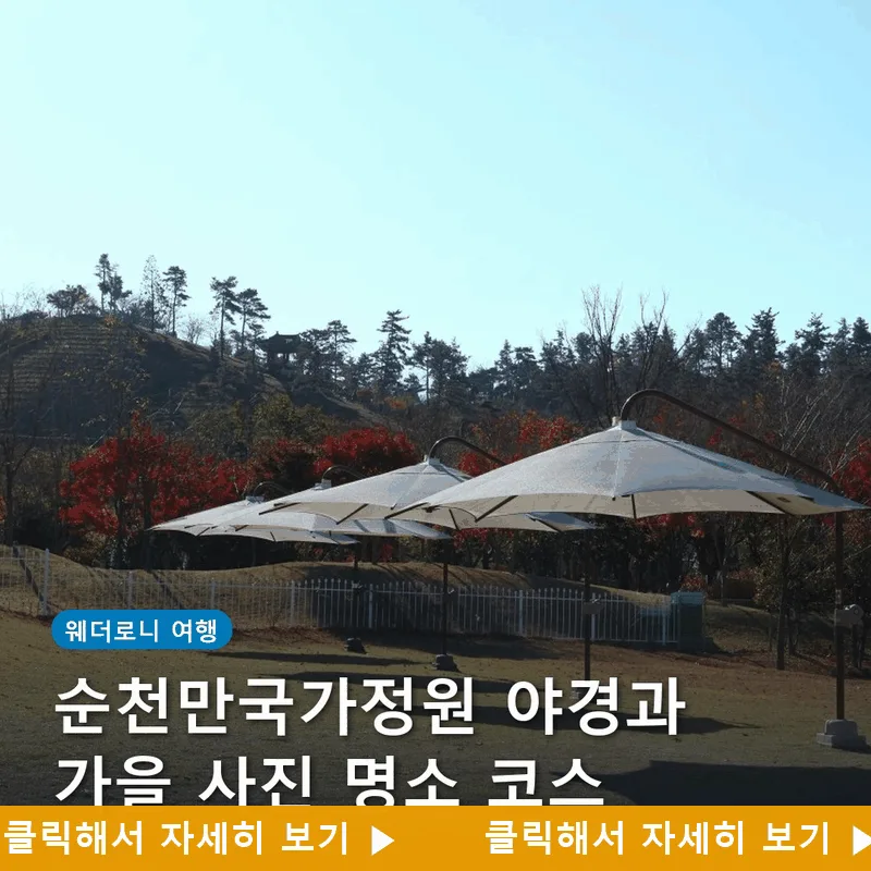 순천만국가정원 야경과 가을 사진 명소 코스