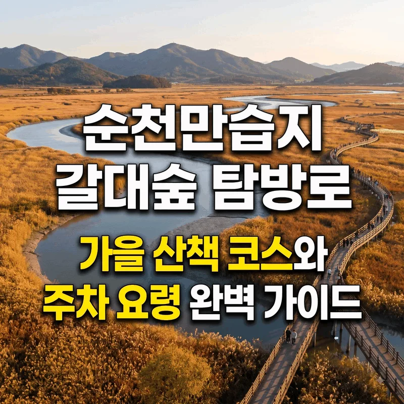 순천만습지 갈대숲 탐방로 가을 산책 코스와 주차 요령 완벽 가이드