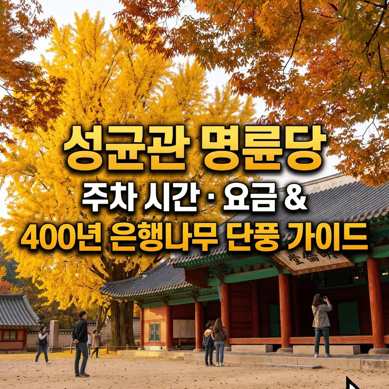 성균관 명륜당 주차 시간 요금과 400년 은행나무 단풍 가이드