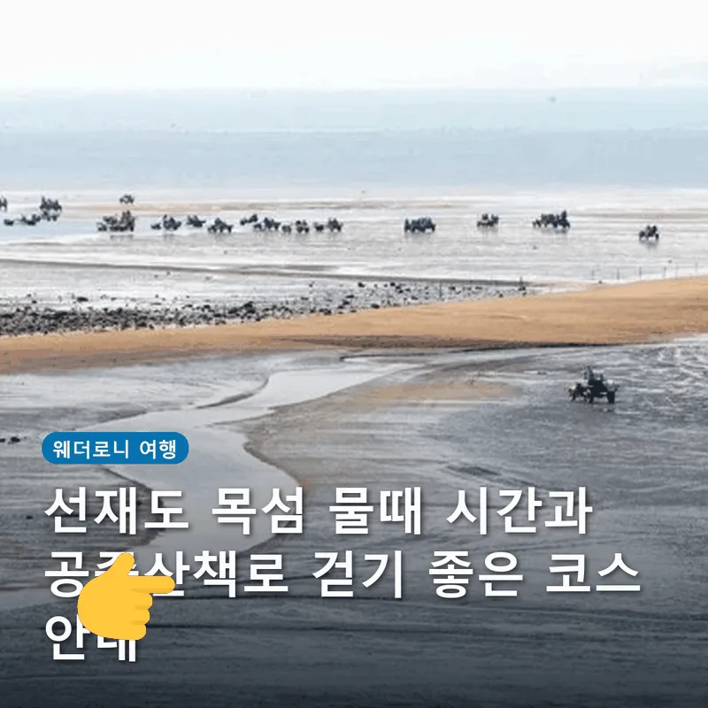 선재도 목섬 물때 시간과 공중산책로 걷기 좋은 코스 안내