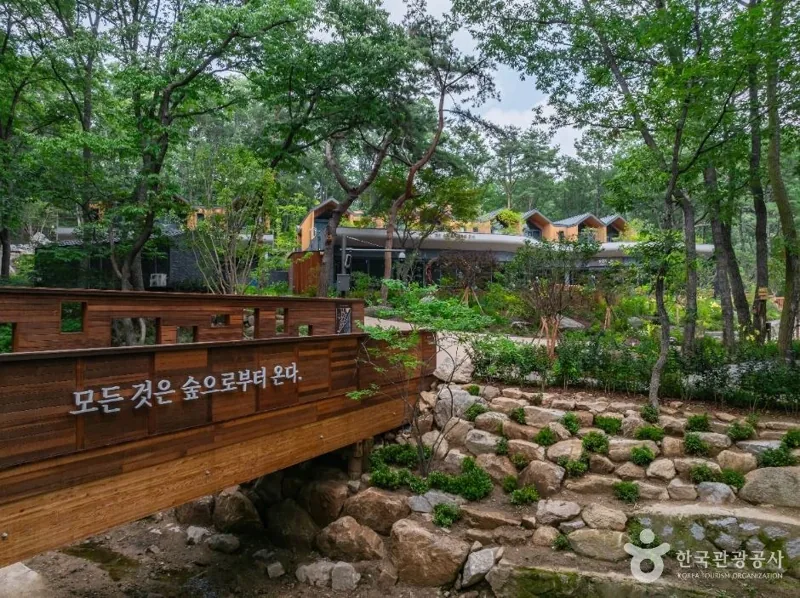 수락 휴(수락산 동막골 자연휴양림)