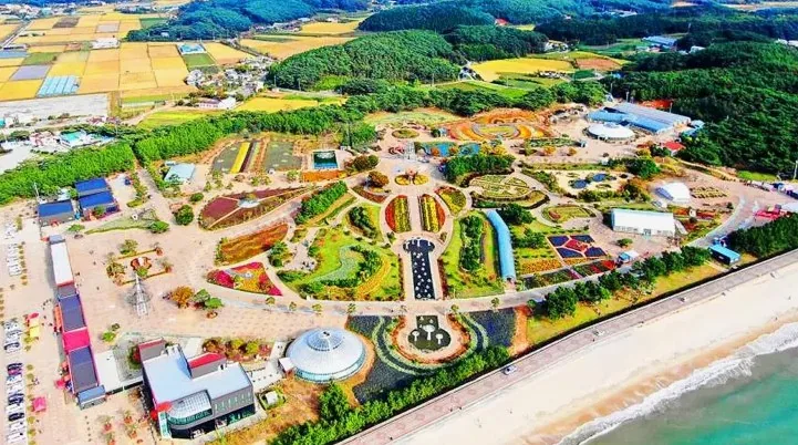 태안 가을꽃박람회 전경 / 사진=태안군 문화관광