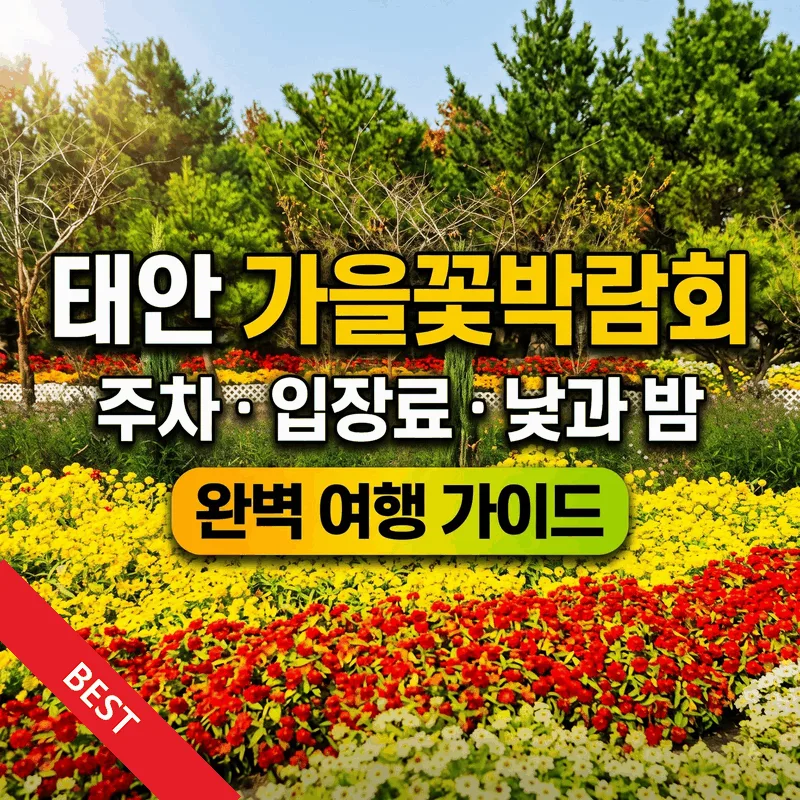 태안 가을꽃박람회 주차 입장료 낮과 밤 완벽 여행 가이드