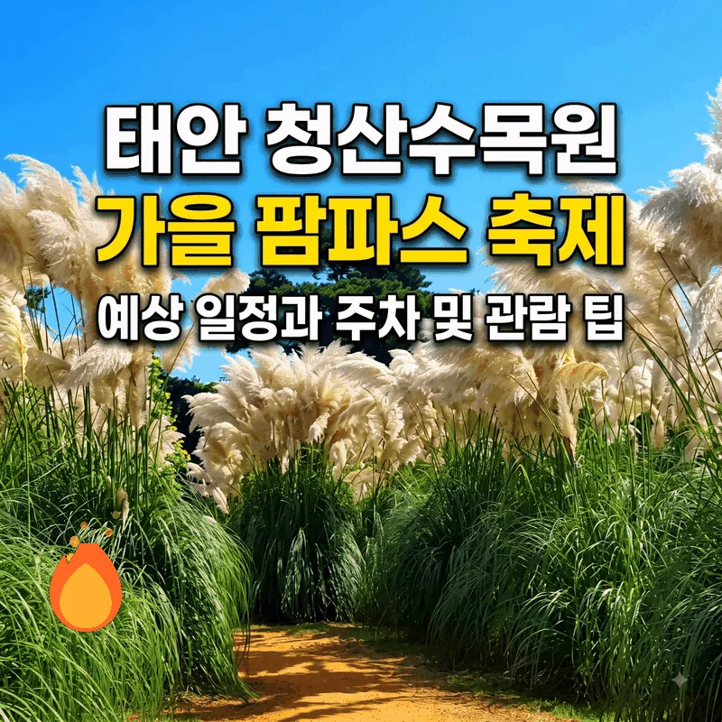 태안 청산수목원 가을 팜파스 축제 예상 일정과 주차 및 관람 팁