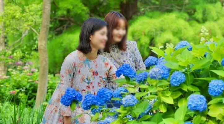 천리포수목원 구경하는 시민 / 사진=천리포 수목원